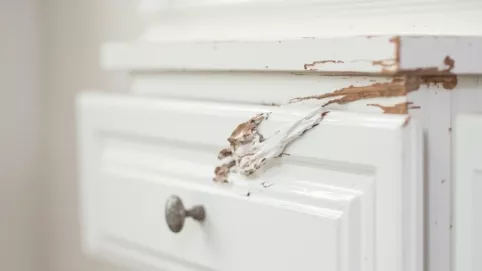 Biała farba do mebli z okleiny