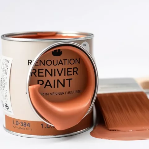 Najlepsza farba do malowania mebli z okleiny